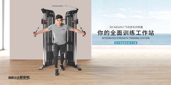 kaiyun开云电竞健身器材-小飞鸟综合训练器SH-G6520